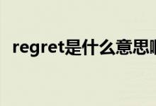 regret是什么意思?。╮egret是什么意思）