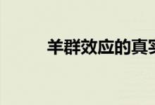 羊群效應的真實事例（羊群效應）