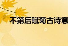 不第后賦菊古詩(shī)意思解釋（不第后賦菊）