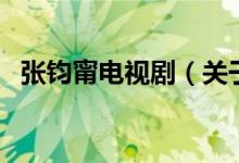 張鈞甯電視?。P(guān)于張鈞甯電視劇的介紹）