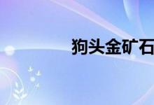 狗頭金礦石圖片（狗頭金）