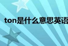 ton是什么意思英語翻譯（ton是什么單位）