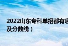 2022山東專科單招都有哪些學(xué)校（2022山東?？拼髮W(xué)排名及分數(shù)線）