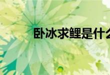 臥冰求鯉是什么意思（臥冰求鯉）