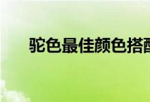駝色最佳顏色搭配(駝色是什么顏色)