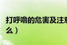 打呼嚕的危害及注意事項（打呼嚕的危害是什么）