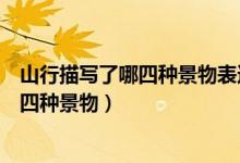 山行描寫(xiě)了哪四種景物表達(dá)了作者什么之情（山行描寫(xiě)了哪四種景物）