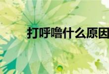 打呼嚕什么原因（打呼嚕什么原因）