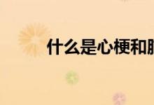 什么是心梗和腦梗（什么是心梗）