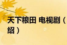 天下糧田 電視?。P(guān)于天下糧田 電視劇的介紹）