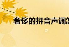 奢侈的拼音聲調(diào)怎么寫（奢侈的拼音）