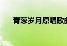青蔥歲月原唱歌曲（青蔥歲月的意思）