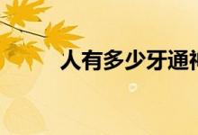 人有多少牙通神經(jīng)（人有多少牙）