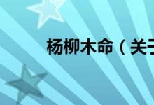 楊柳木命（關(guān)于楊柳木命的介紹）