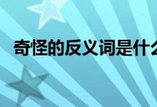 奇怪的反義詞是什么視頻（奇怪的反義詞）