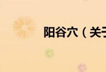 陽谷穴（關于陽谷穴的介紹）