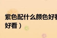 紫色配什么顏色好看效果圖（紫色配什么顏色好看）