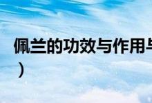 佩蘭的功效與作用與禁忌（佩蘭的功效與作用）