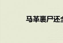 馬革裹尸還全詩(shī)（馬革裹尸）