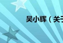 吳小輝（關(guān)于吳小輝的介紹）