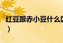 紅豆跟赤小豆什么區(qū)別（紅豆與赤小豆的區(qū)別）