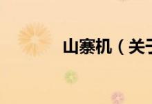 山寨機(jī)（關(guān)于山寨機(jī)的介紹）