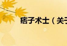 痞子術(shù)士（關(guān)于痞子術(shù)士的介紹）