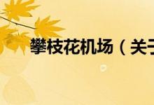 攀枝花機場（關(guān)于攀枝花機場的介紹）
