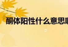 酮體陽性什么意思?。ㄍw陽性什么意思）