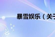 暴雪娛樂（關于暴雪娛樂的介紹）
