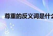 尊重的反義詞是什么字呢（尊重的反義詞）