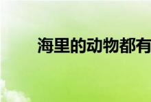 海里的動物都有什么（海里的動物）