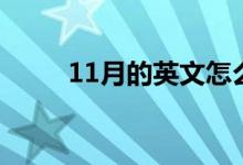 11月的英文怎么寫（11月的英文）