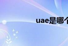 uae是哪個國家（UAE）