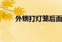外甥打燈籠后面一句（外甥打燈籠）
