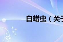 白蠟蟲（關(guān)于白蠟蟲的介紹）
