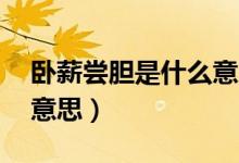 臥薪嘗膽是什么意思20字（臥薪嘗膽是什么意思）