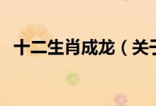十二生肖成龍（關于十二生肖成龍的介紹）