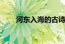 河?xùn)|入海的古詩(shī)（什么里河?xùn)|入海）