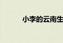 小李的云南生活（小李杜是誰）