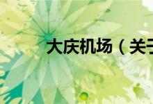 大慶機(jī)場(chǎng)（關(guān)于大慶機(jī)場(chǎng)的介紹）