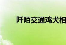阡陌交通雞犬相聞賞析（阡陌交通）