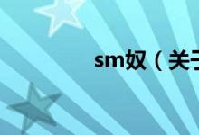 sm奴（關(guān)于sm奴的介紹）