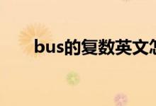 bus的復(fù)數(shù)英文怎么寫(xiě)（bus的復(fù)數(shù)）