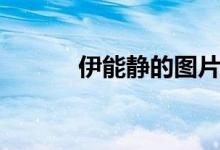 伊能靜的圖片（伊能靜的老公）