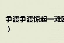 爭渡爭渡驚起一灘鷗鷺是什么意思（爭渡爭渡）