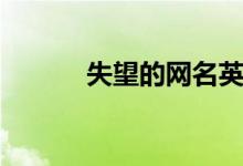 失望的網(wǎng)名英文（失望的網(wǎng)名）