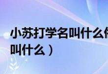 小蘇打?qū)W名叫什么俗名叫什么（小蘇打的學(xué)名叫什么）