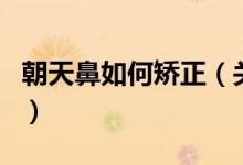 朝天鼻如何矯正（關于朝天鼻如何矯正的介紹）