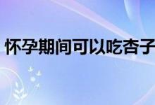 懷孕期間可以吃杏子么（孕婦可以吃杏子嗎）